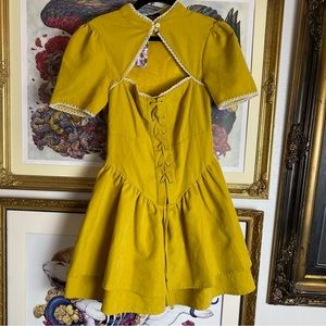 NWT chartreuse CIDER velveteen corset dress extra small over the garden wall